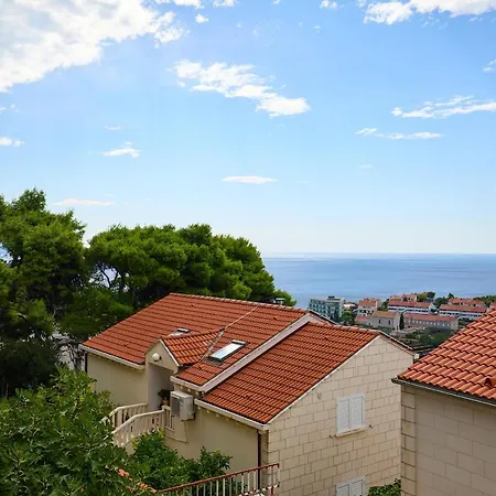 Hedera Estate Hedera 1 Dubrovnik