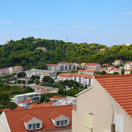 Hedera Estate Hedera 1