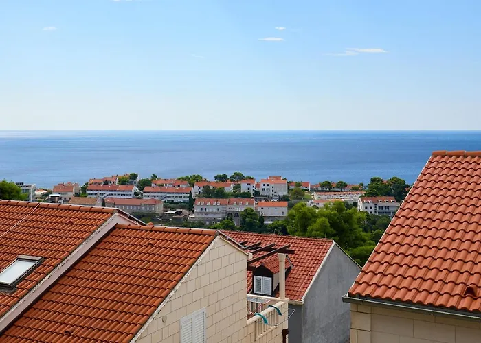 Hedera Estate Hedera 1 *