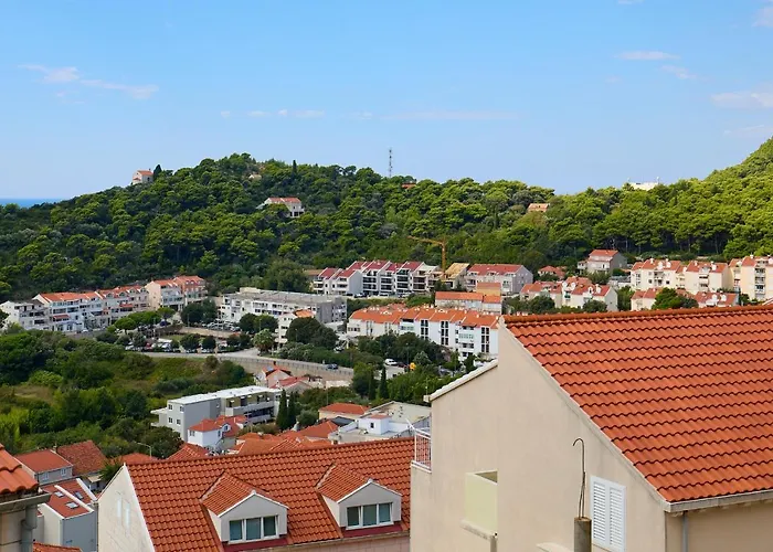 Hedera Estate Hedera 1